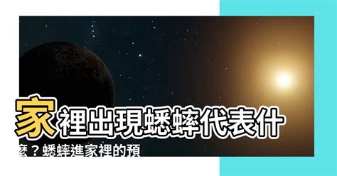 家裡出現 蟋蟀 代表|【蟋蟀來家裡】從風水角度探討：蟋蟀進家，吉凶吉兆。